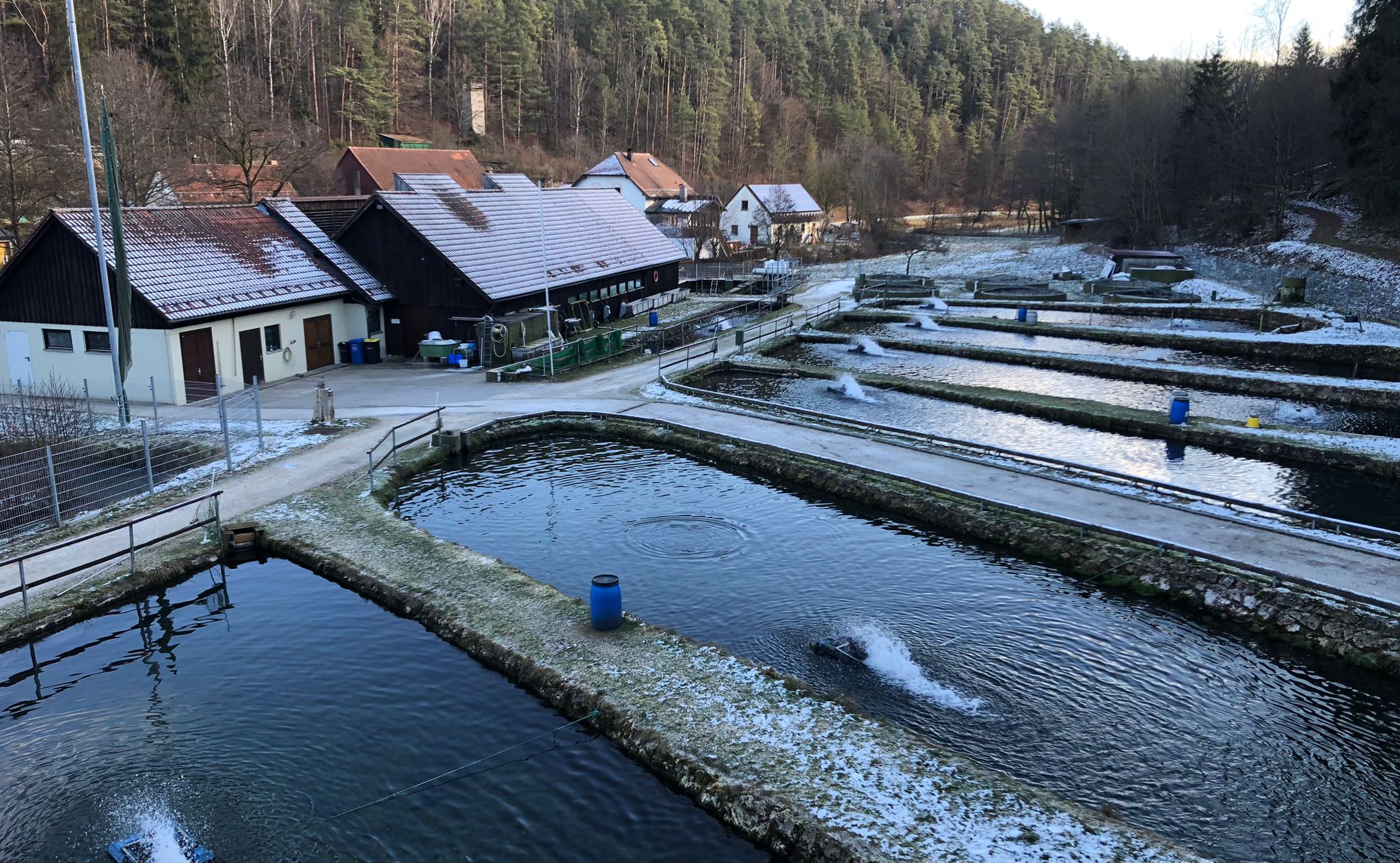 Fischzucht Aufsess